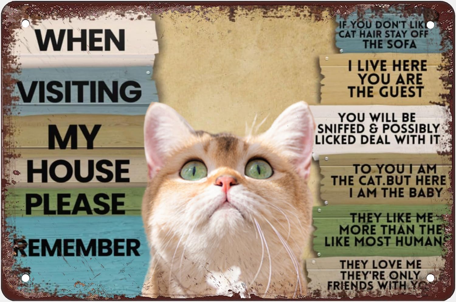 Bathroom Home Visit - Metallschild mit Aufschrift „Cat When Visiting