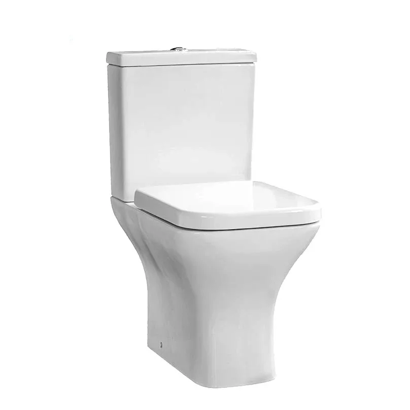 Home Bathroom Ware - Z China Sanitärkeramik-Toilettenschüsseln, große quadratische Toilette