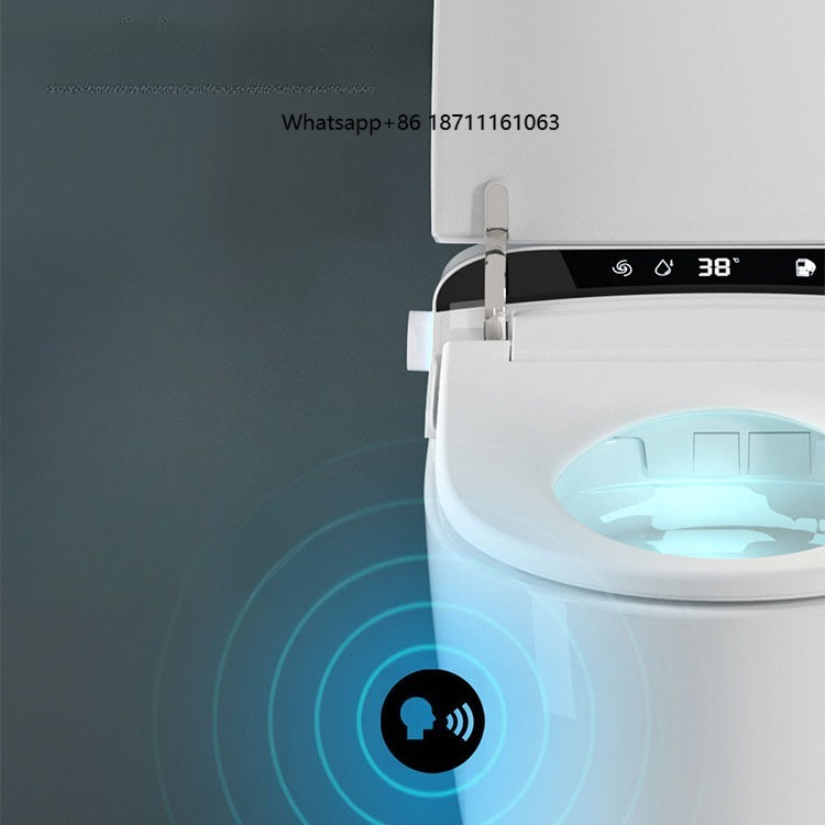 Home Bathroom Ware - Hochwertige, verlängerte Smart-Toilette für Zuhause, Hotel