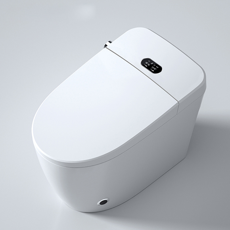 Moderne Smart-Toilette mit dig – Home Bathroom Ware Bewertung und Preis