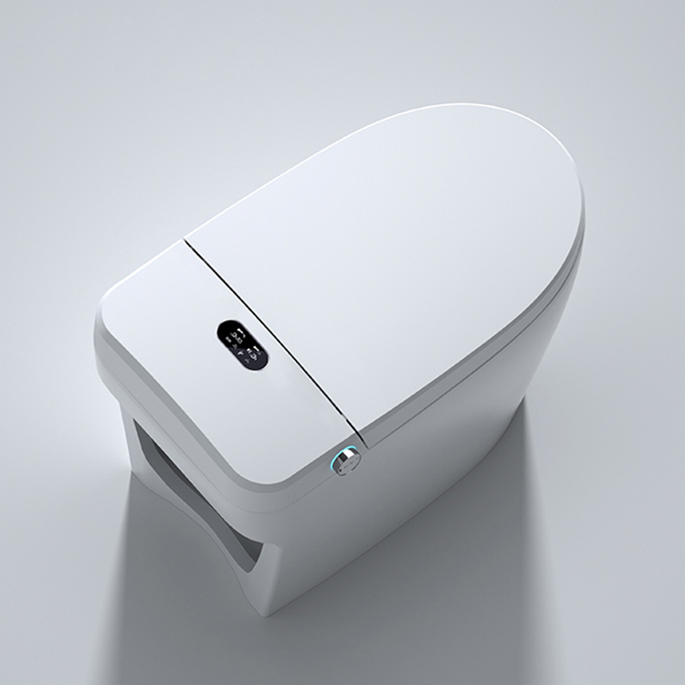 Moderne Smart-Toilette mit dig – Home Bathroom Ware Bewertung und Preis