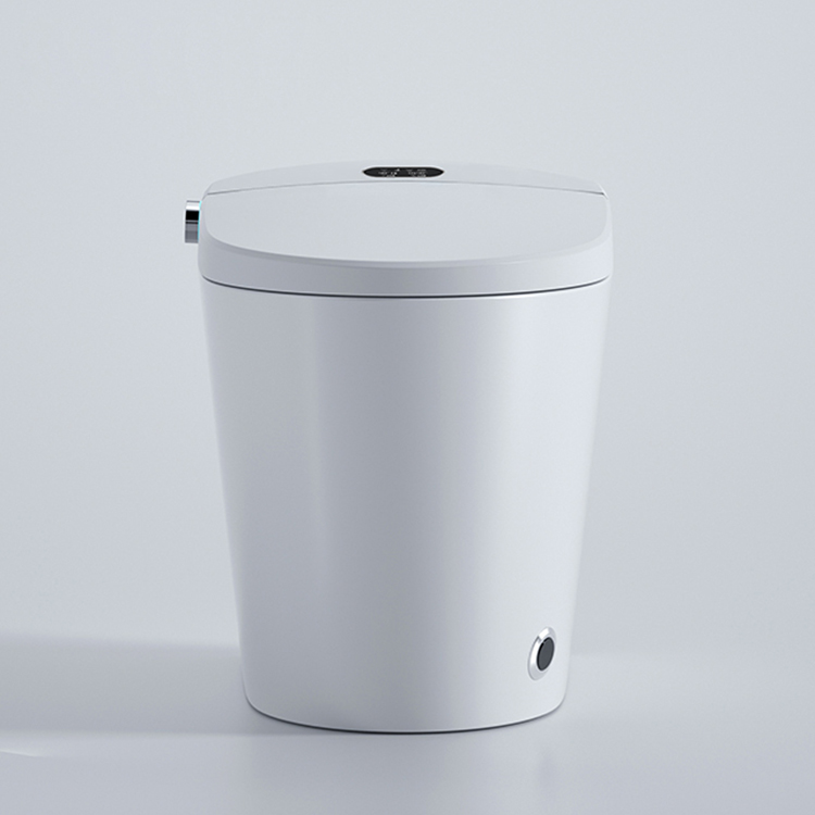Moderne Smart-Toilette mit dig – Home Bathroom Ware Bewertung und Preis
