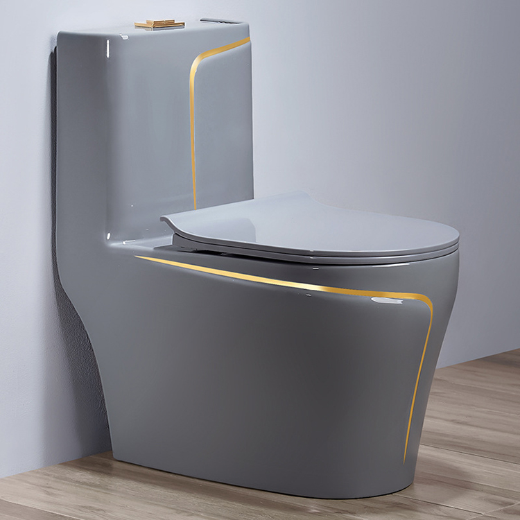 Graue Keramik-Bidet-Toilette,  – Home Bathroom Ware Bewertung und Preis