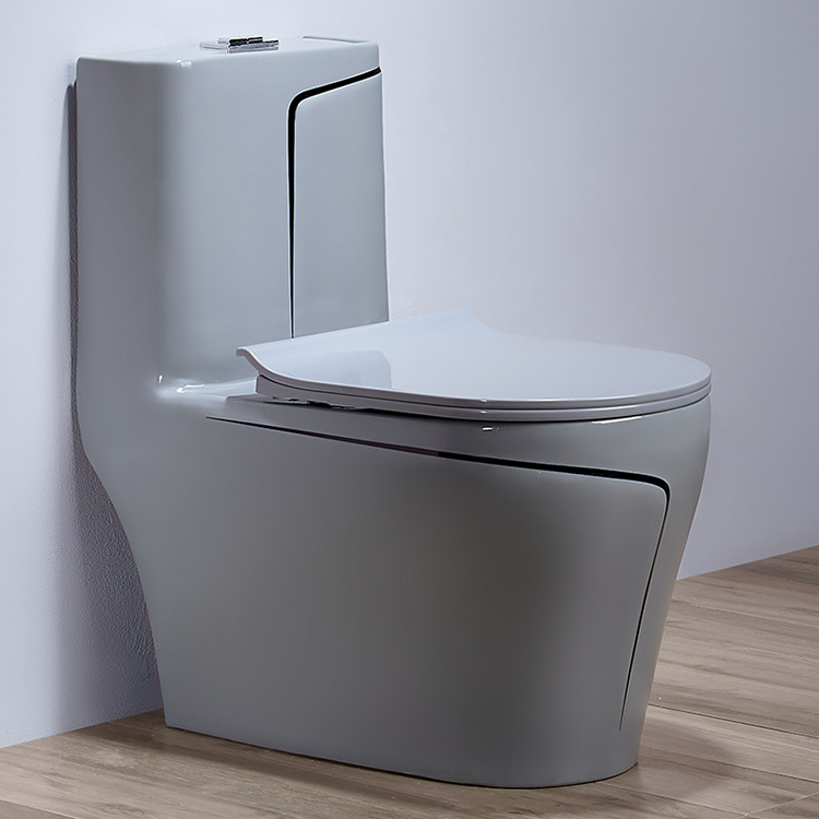 Graue Keramik-Bidet-Toilette,  – Home Bathroom Ware Bewertung und Preis