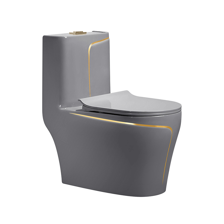 Graue Keramik-Bidet-Toilette,  – Home Bathroom Ware Bewertung und Preis