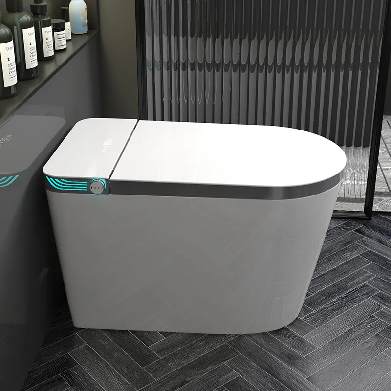 Keramik-Lieferant: Intelligent – Home Bathroom Ware Bewertung und Preis