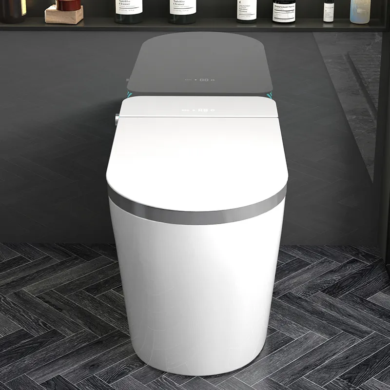 Keramik-Lieferant: Intelligent – Home Bathroom Ware Bewertung und Preis