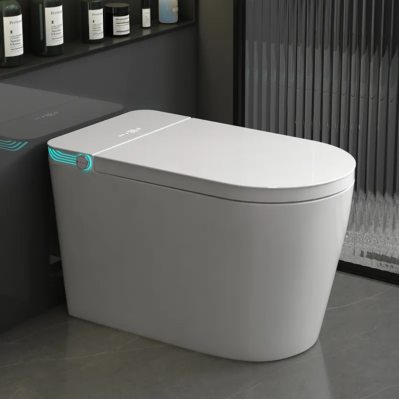 Keramik-Lieferant: Intelligent – Home Bathroom Ware Bewertung und Preis
