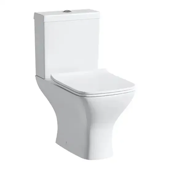 Z China Sanitärkeramik-Toilett – Home Bathroom Ware Bewertung und Preis