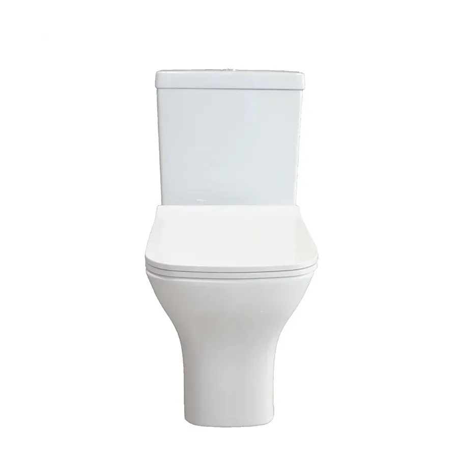 Z China Sanitärkeramik-Toilett – Home Bathroom Ware Bewertung und Preis