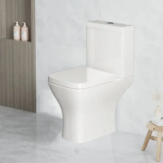 Z China Sanitärkeramik-Toilett – Home Bathroom Ware Bewertung und Preis